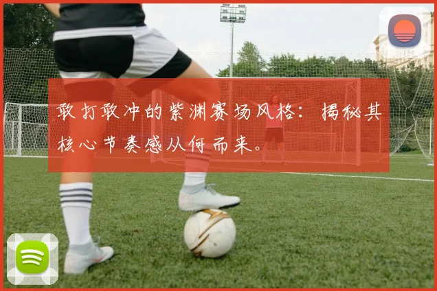 敢打敢冲的紫渊赛场风格:揭秘其核心节奏感从何而来。